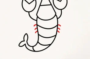 22+ cách vẽ con tôm dễ thương siêu dễ cho học sinh mới tập