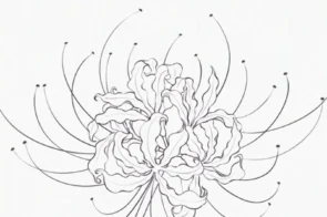 Khám phá 12+ cách vẽ hoa bỉ ngạn đỏ rực