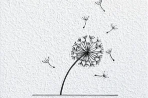 Ghim ngay 16+ cách vẽ hoa bồ công anh đơn giản