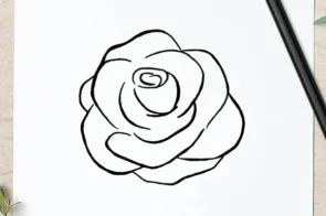 Tổng hợp 10+ cách vẽ hoa hồng vừa đơn giản vừa đẹp mê ly