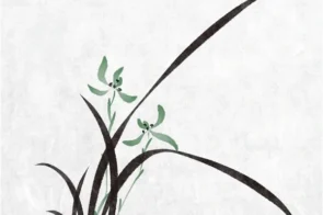 Tổng hợp 18+ kiểu vẽ hoa lan đẹp nao lòng