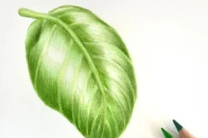 Tổng hợp 12+ cách vẽ lá cây đơn giản mà cực chill, đẹp mê ly.