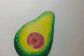 16+ cách vẽ quả bơ cute siêu đơn giản chỉ với bút chì