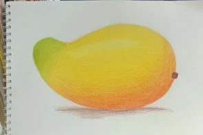 Bật mí 15+ hướng dẫn vẽ quả xoài đơn giản