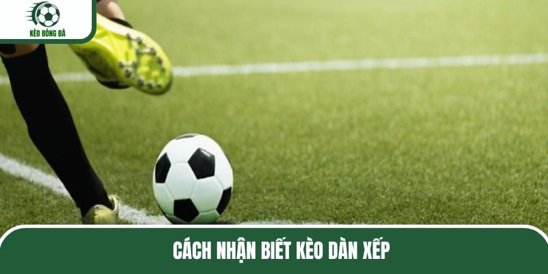 top-nhung-kinh-nghiem-nhan-dien-keo-dan-xep