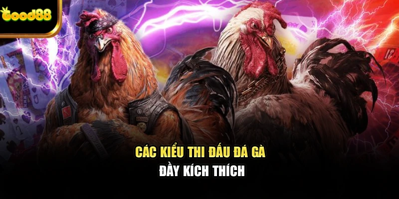 cac-kieu-thi-dau-da-ga-day-kich-thich
