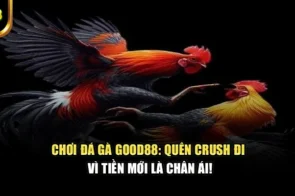 Chơi Đá Gà god88: Quên Crush Đi, Vì Tiền Mới Là Chân Ái!