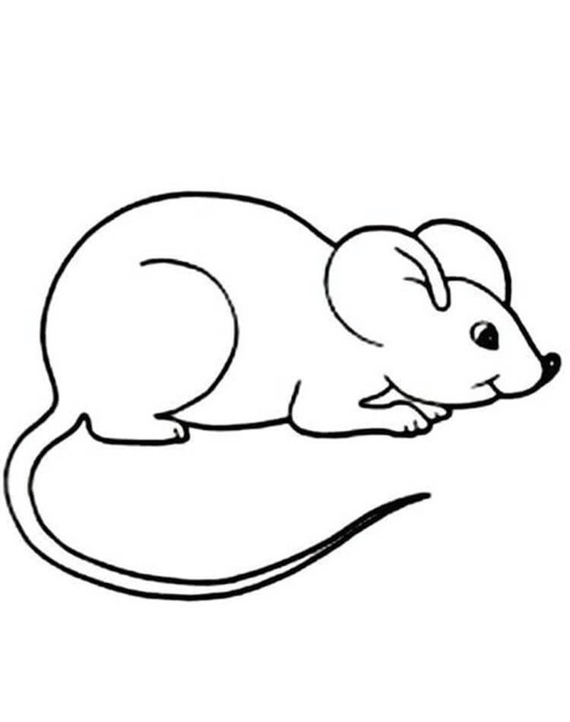 con chuột tô màu 16