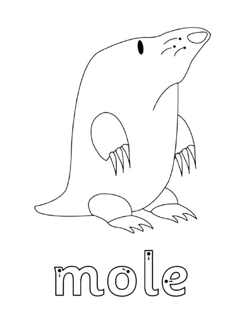 con chuột tô màu 6