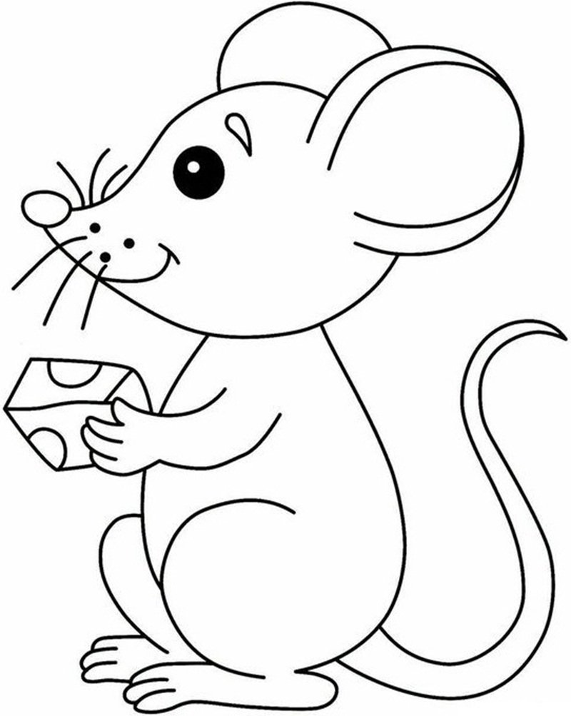 con chuột tô màu 7