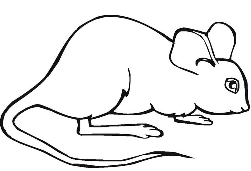con chuột tô màu 9