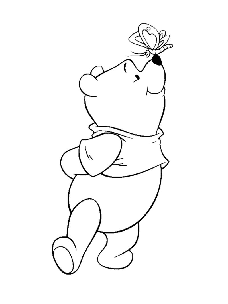 con gấu tô màu 41