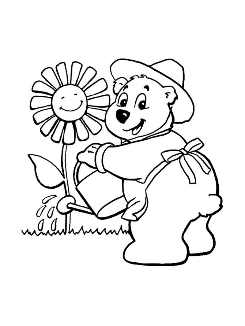 con gấu tô màu 5
