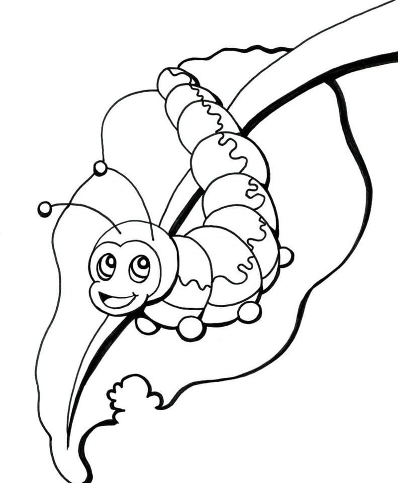 con sâu tô màu 10