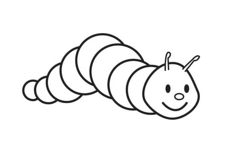 con sâu tô màu 11