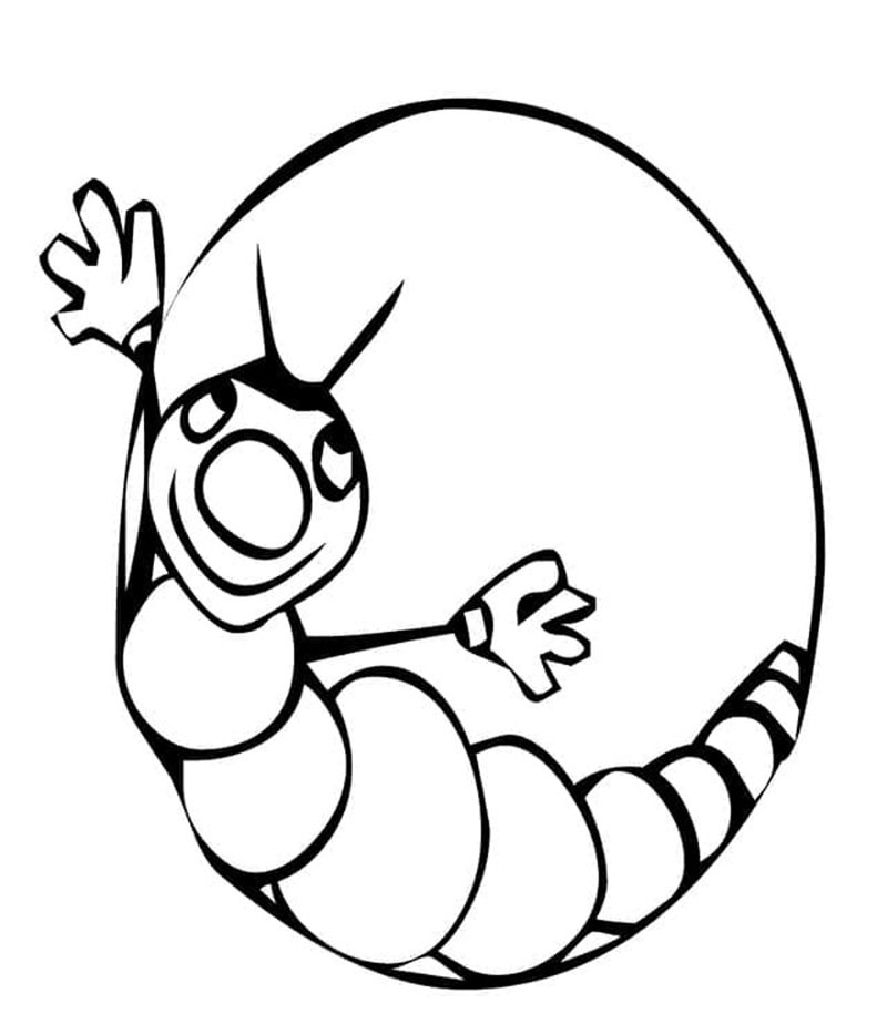 con sâu tô màu 12