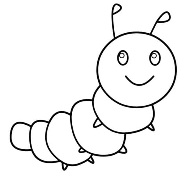 con sâu tô màu 14