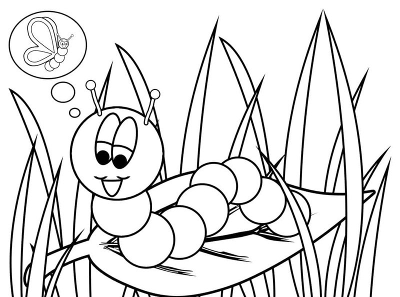 con sâu tô màu 20