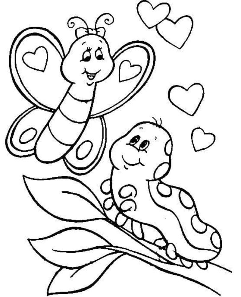 con sâu tô màu 21