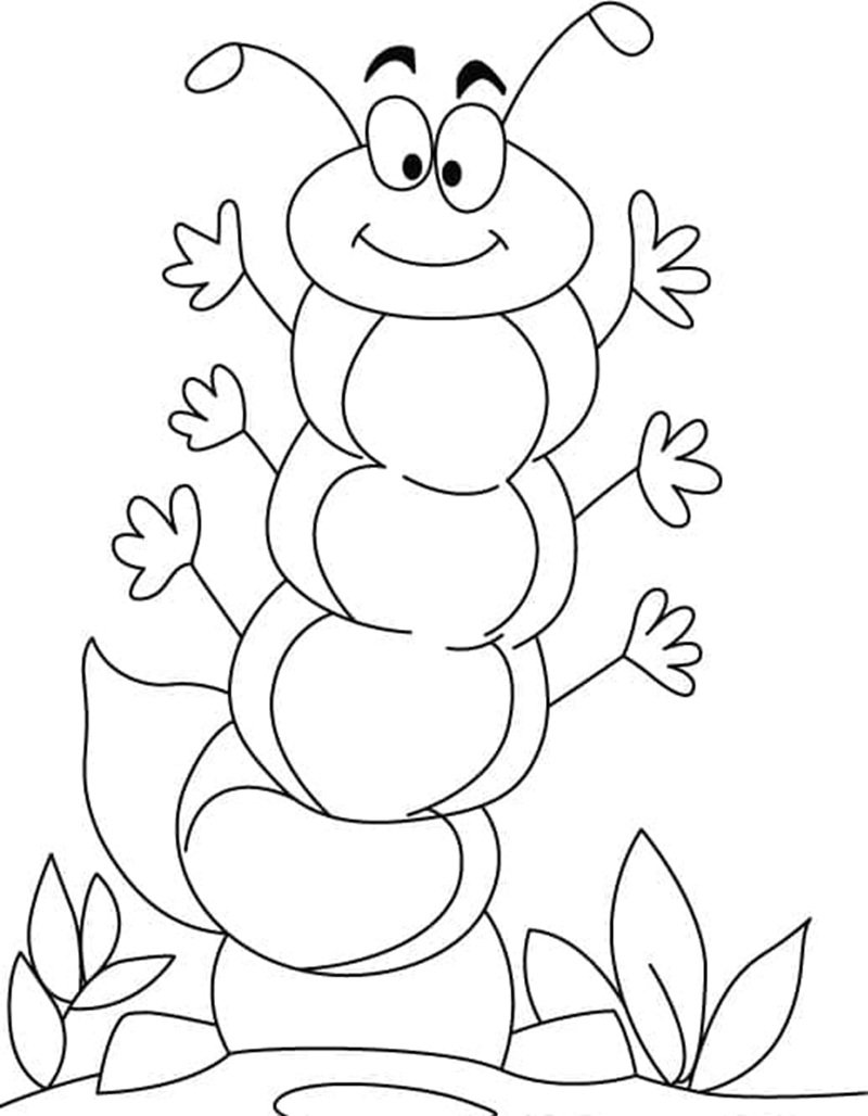 con sâu tô màu 22