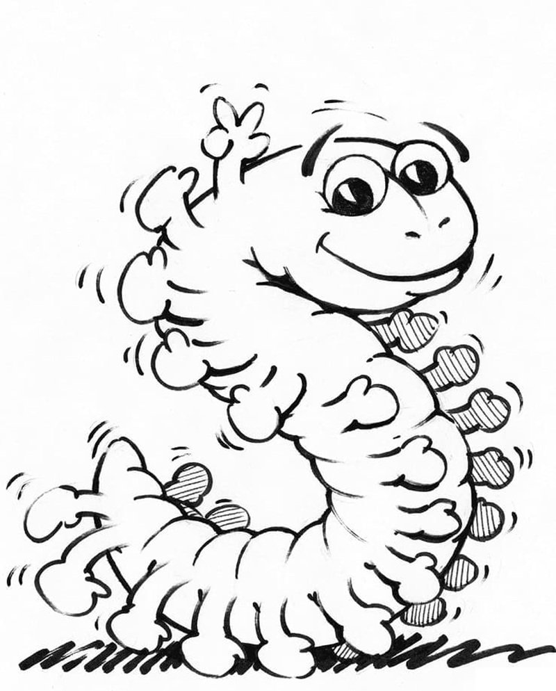 con sâu tô màu 23