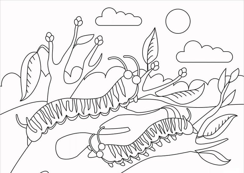 con sâu tô màu 24