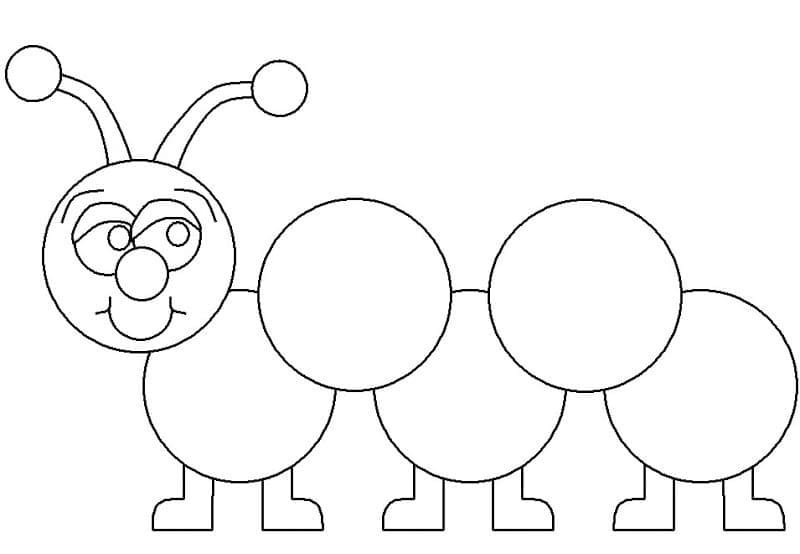 con sâu tô màu 25