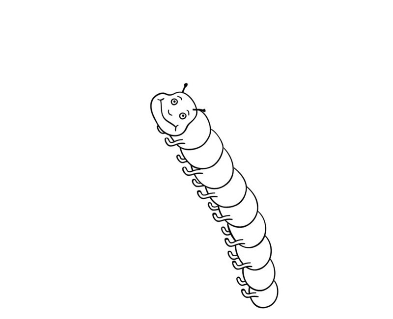 con sâu tô màu 29