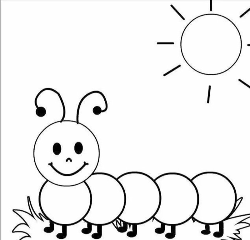 con sâu tô màu 30