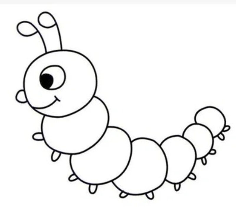 con sâu tô màu 31