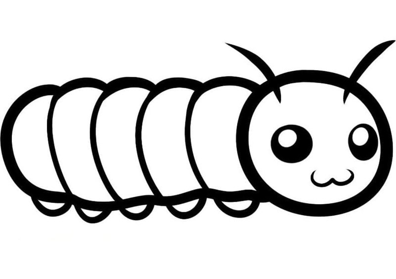 con sâu tô màu 32