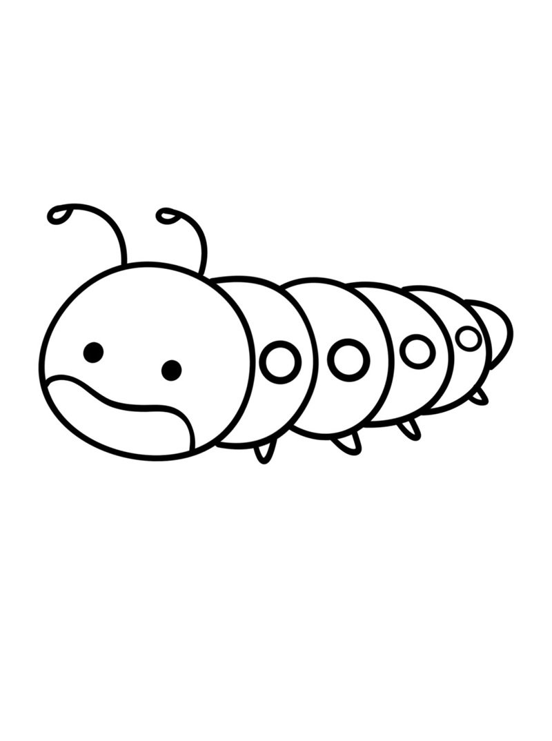 con sâu tô màu 40