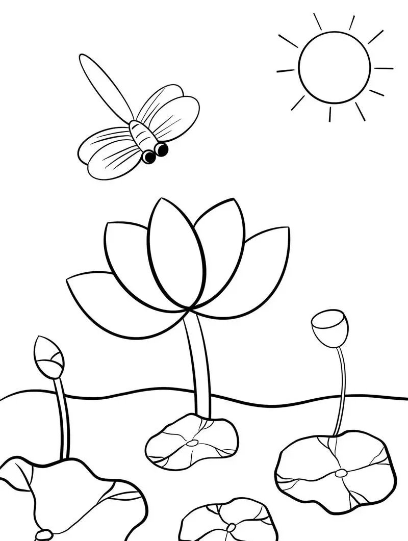 hoa sen tô màu 18