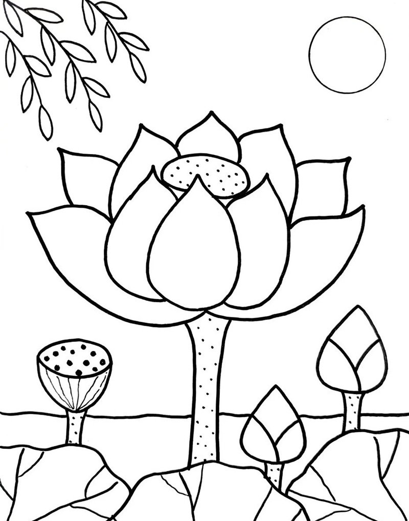 hoa sen tô màu 19