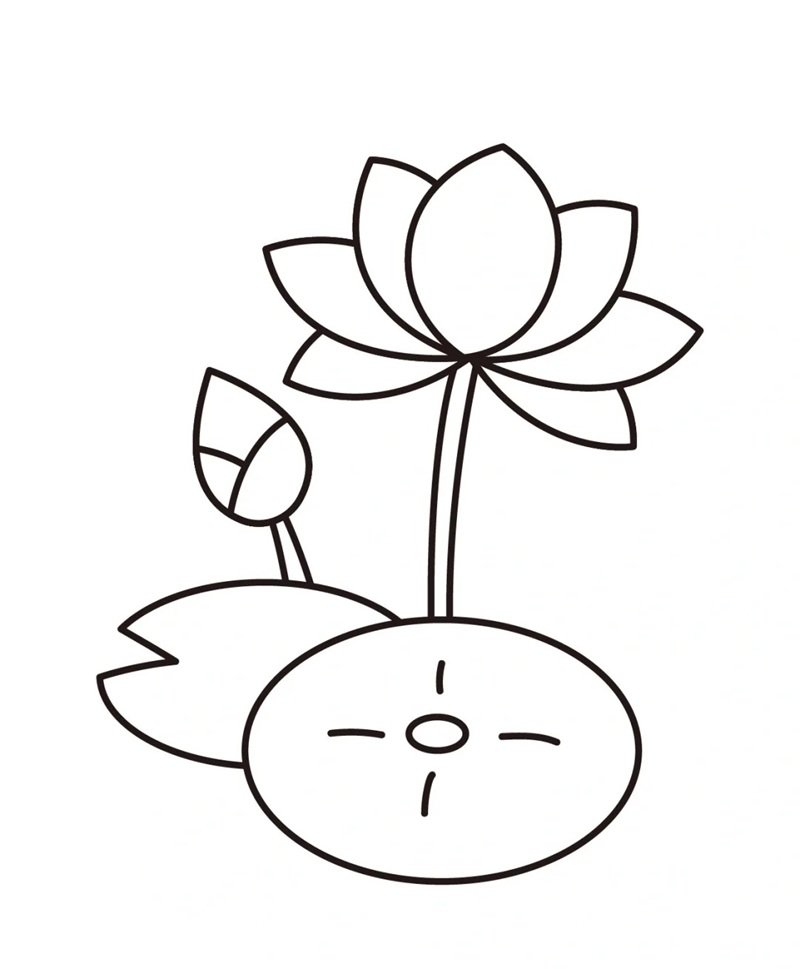hoa sen tô màu 26