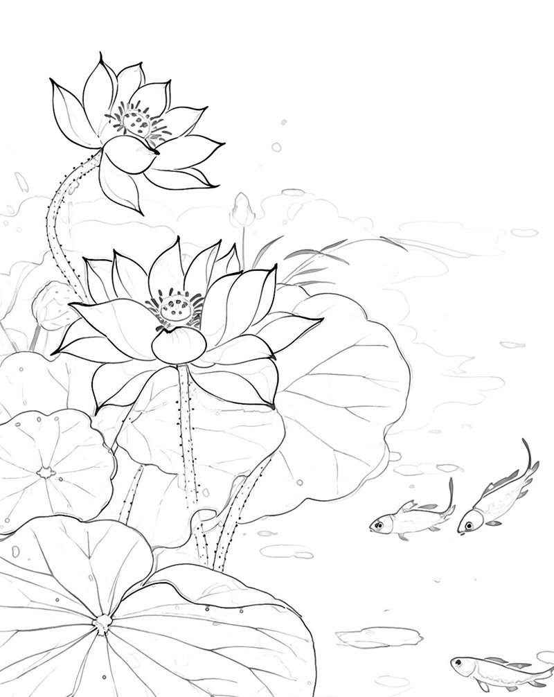 hoa sen tô màu 29