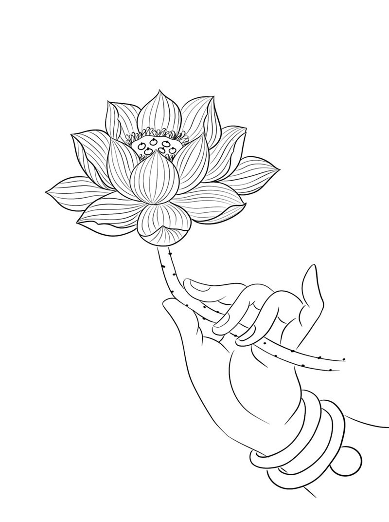 hoa sen tô màu 7