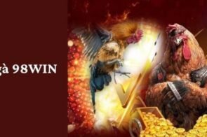 Đá gà 98win – Trải nghiệm những trận đấu gay cấn đỉnh cao