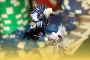 Cách Tính Tỷ Lệ Cược Trong Đá Gà Trực Tuyến – Hiểu Đúng Kèo Để Thắng Lớn