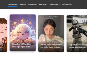 Top 10 trang web tải hình ảnh đẹp nhất Việt Nam