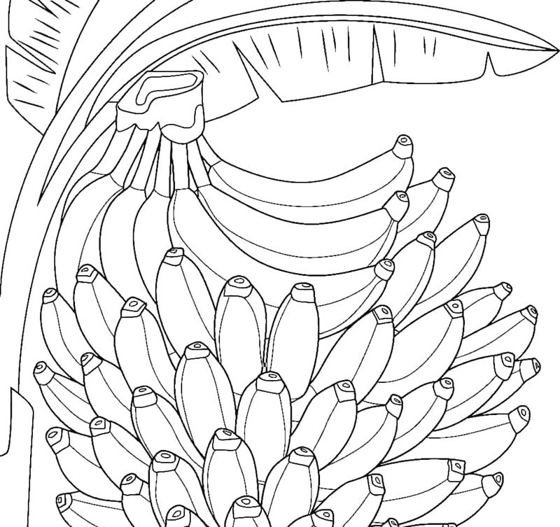 quả chuối tô màu 7