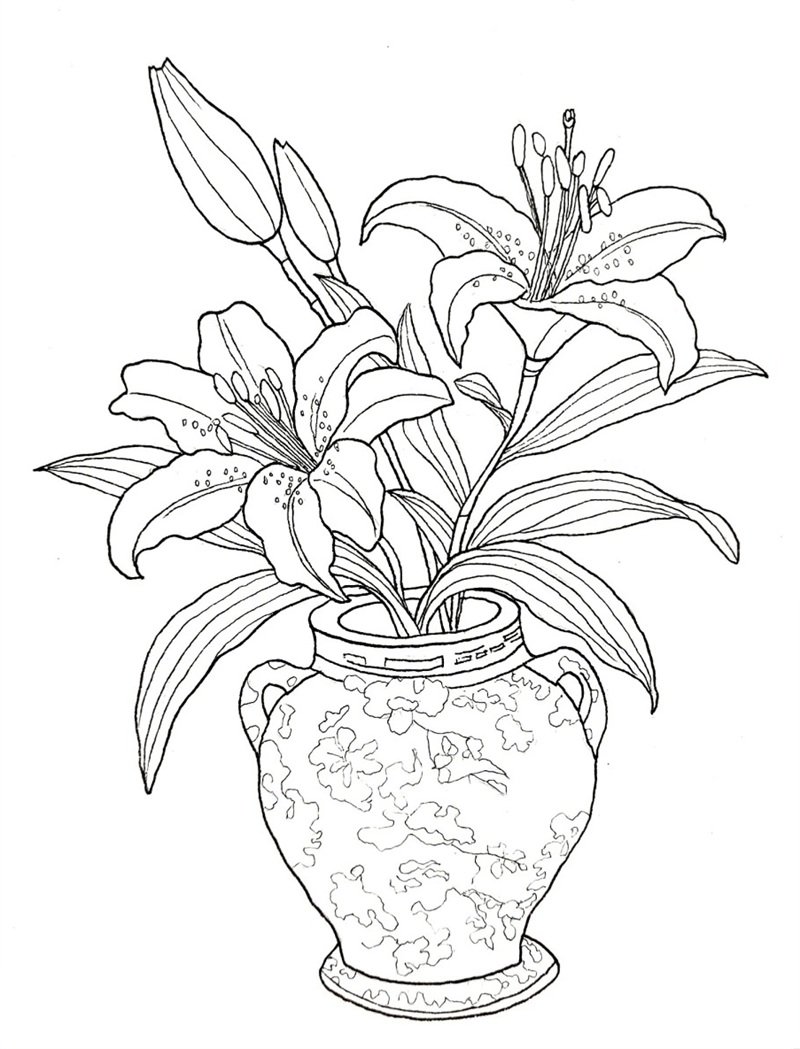 tô màu bình hoa 27