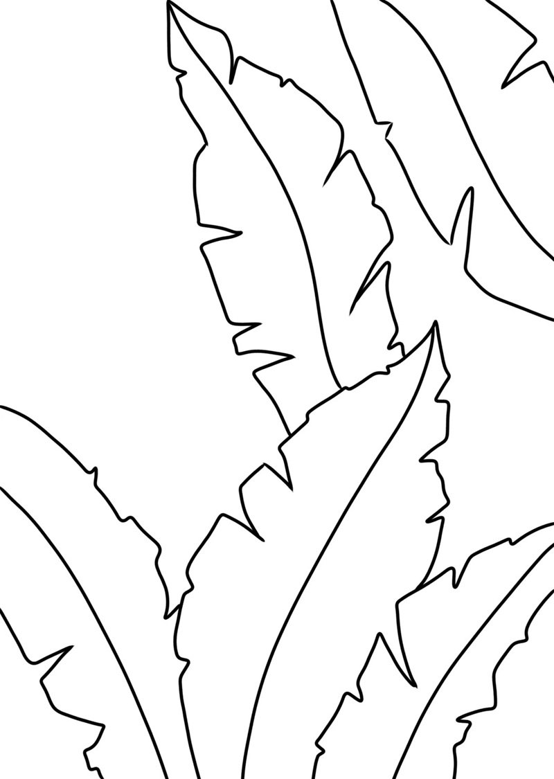 tô màu chiếc lá 1