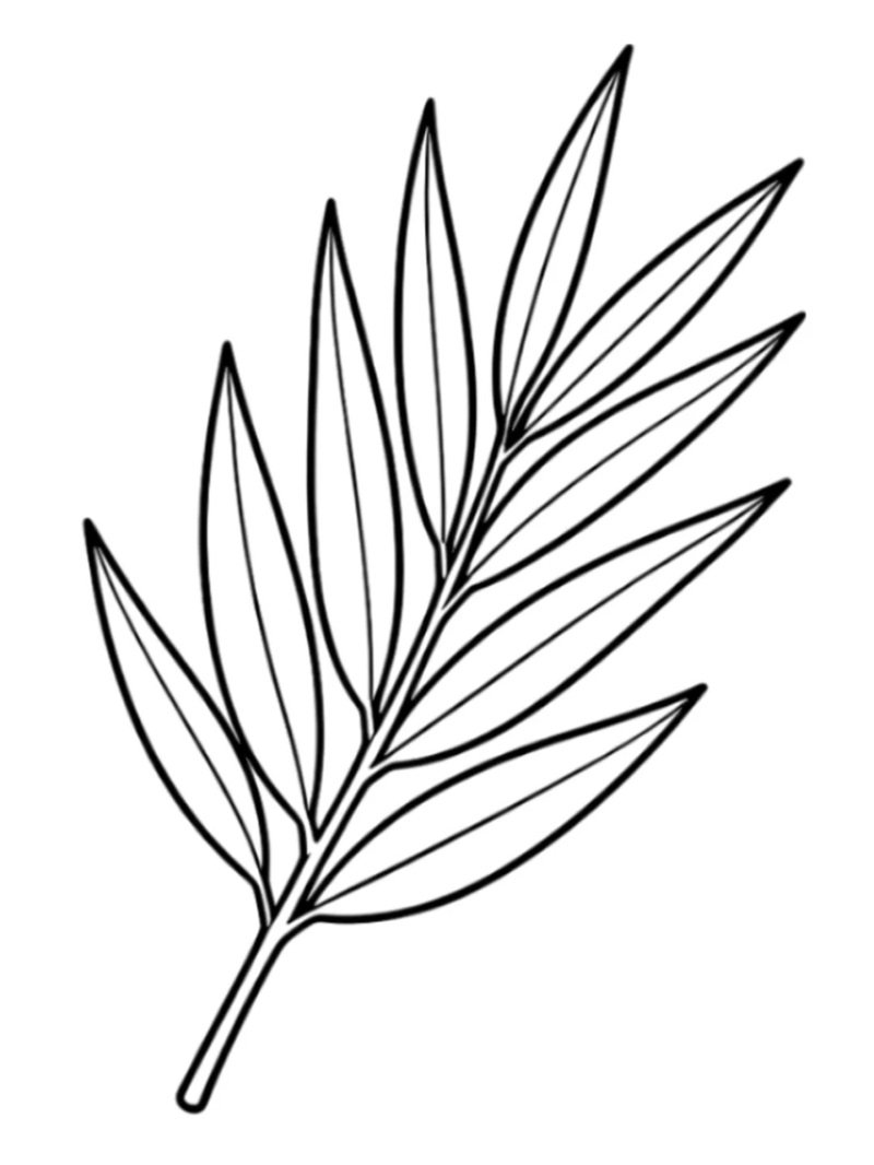 tô màu chiếc lá 10