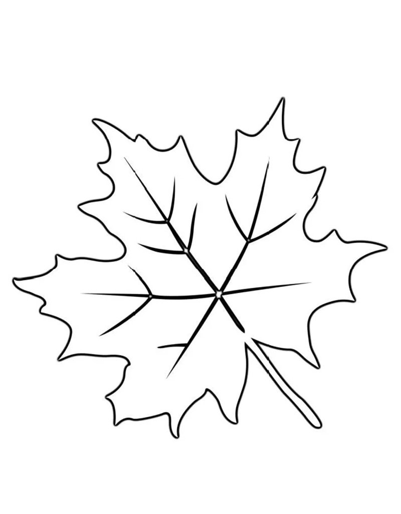 tô màu chiếc lá 11