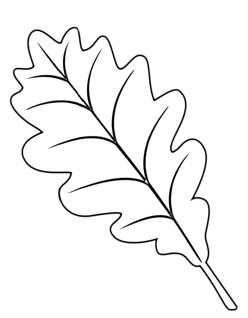 tô màu chiếc lá 16