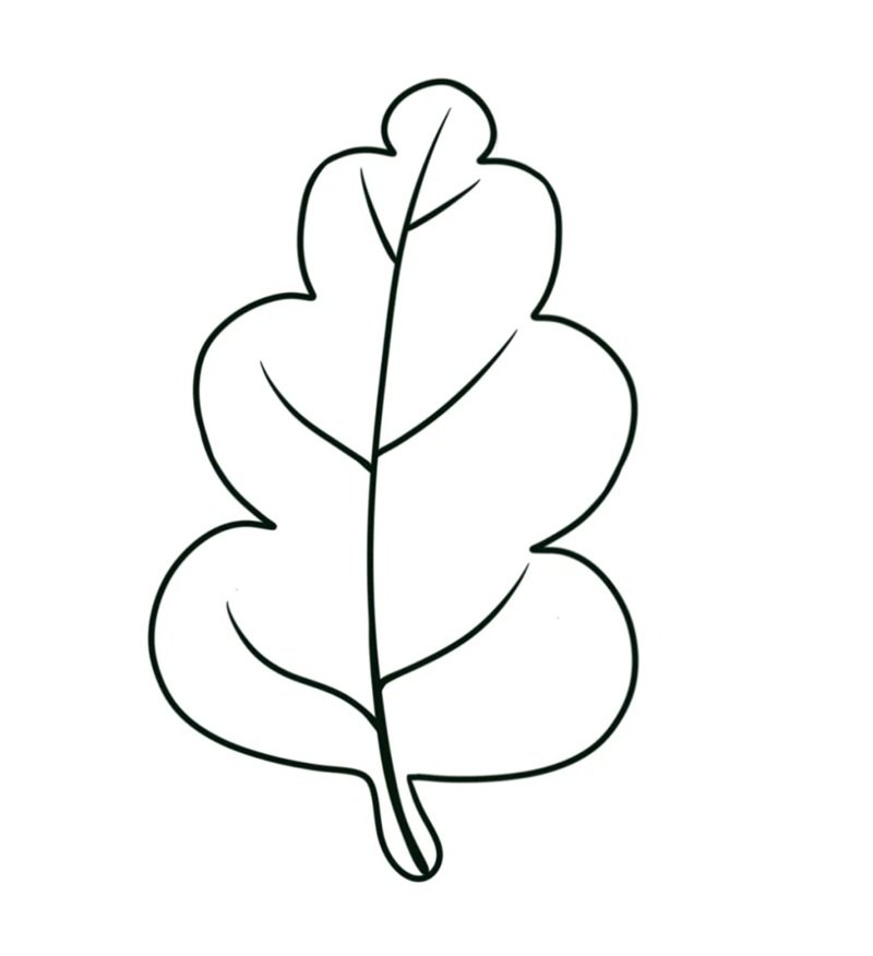 tô màu chiếc lá 19