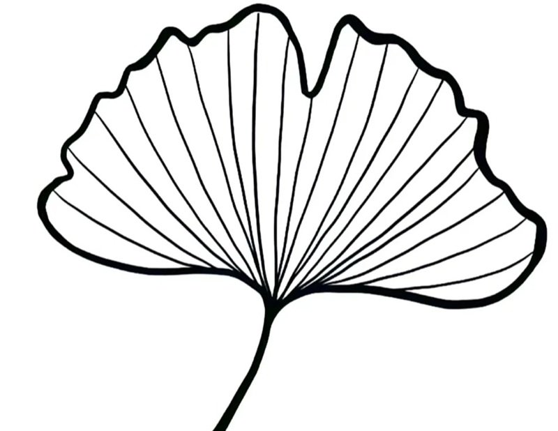 tô màu chiếc lá 2