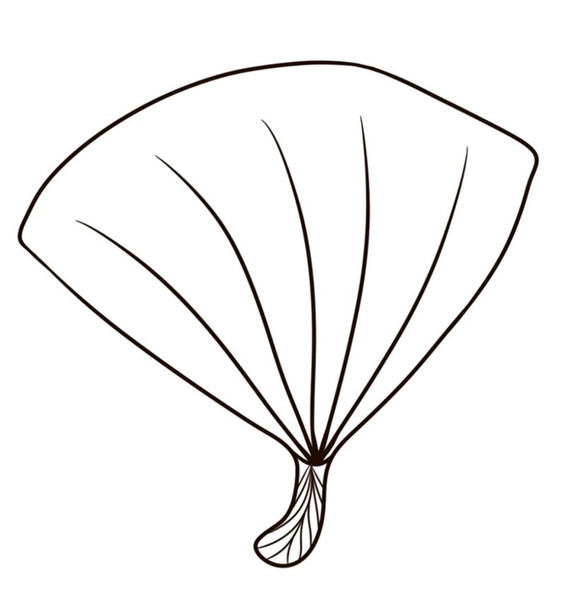 tô màu chiếc lá 20