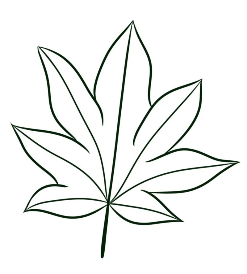 tô màu chiếc lá 21